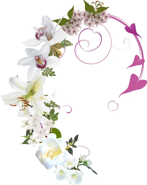 Ljus orkidé och lilja lockigt design isolerad på vit — Stock vektor