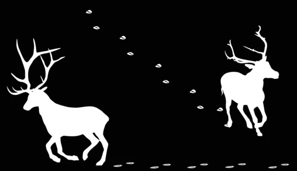 Dwa biegnące samotne białe jelenie z torami — Wektor stockowy