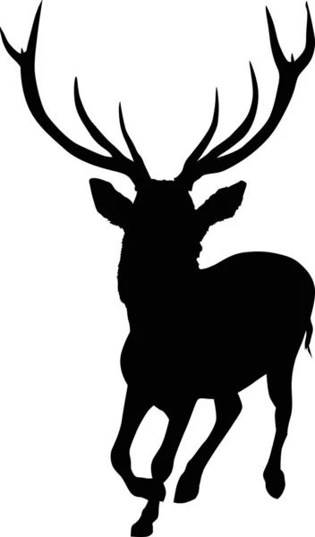 黒鹿の角が大きい — ストックベクタ