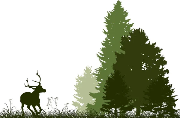 跑向被白色隔离的冷杉林的绿鹿 — 图库矢量图片