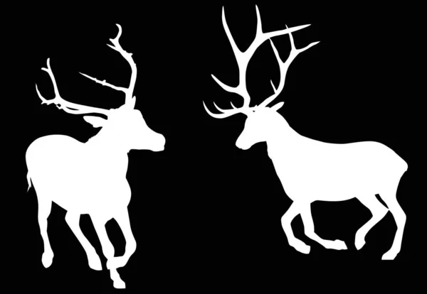 Two running isolated white deers — Stock Vector