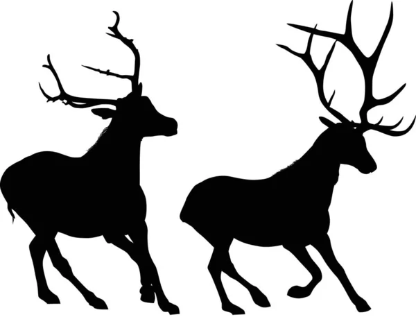 Deux coureurs noirs cerfs isolés sur — Image vectorielle