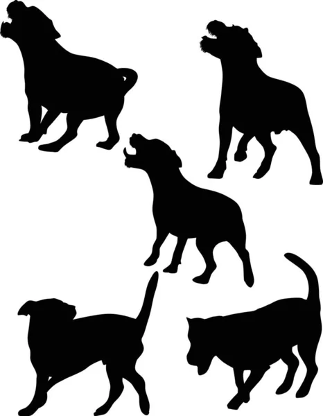 Fünf isolierte schwarze Silhouetten eines Hundes — Stockvektor