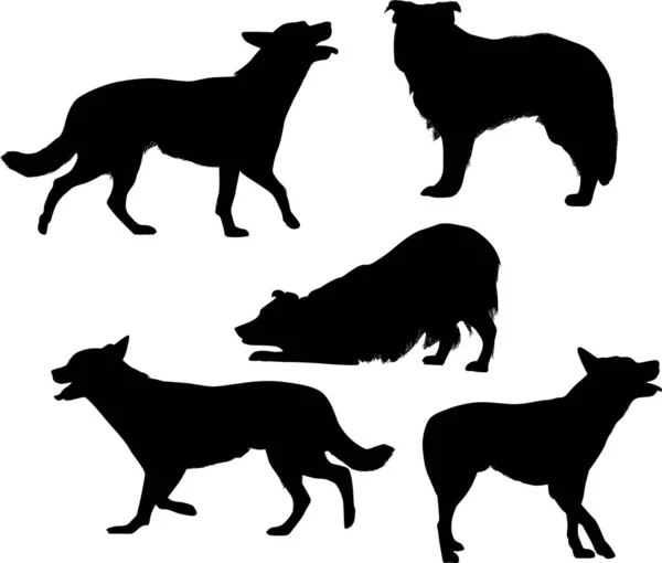 Beş siyah izole köpek silueti — Stok Vektör