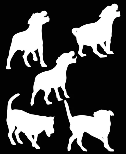 Cinco siluetas blancas aisladas de perro — Vector de stock