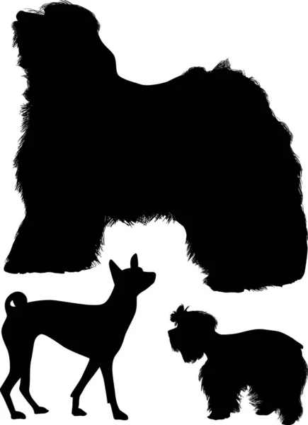 One large and two small black dogs — Stock Vector