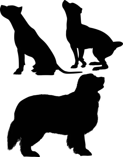 Uno grande y dos perros negros medios — Archivo Imágenes Vectoriales