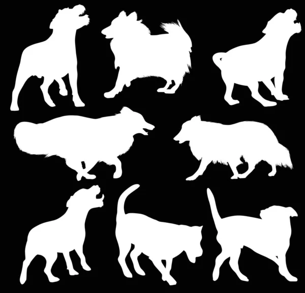 Osiem białych izolowanych sylwetek psów — Wektor stockowy
