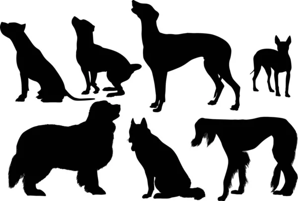 Sieben schwarze Silhouette isoliert auf weißen Hunden — Stockvektor