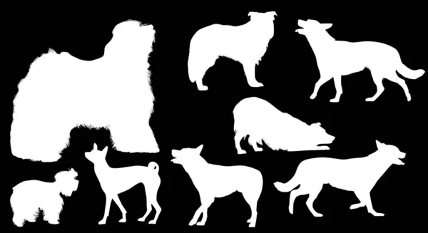 Вісім білих ізольованих собачих силуетів — стоковий вектор