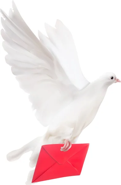 Weiße Taube mit roter Briefabbildung — Stockvektor