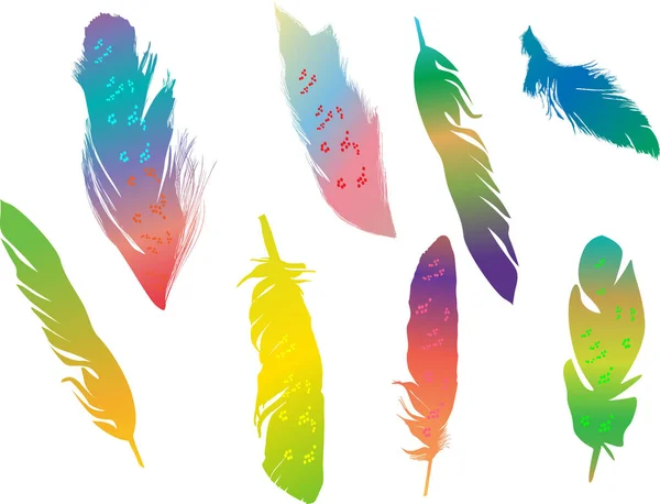 Восемь радужных перьев, изолированных на белом — стоковый вектор