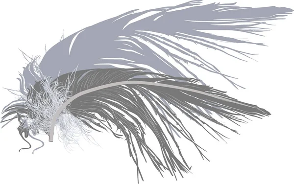 Pluma gris con sombra aislada sobre blanco — Vector de stock