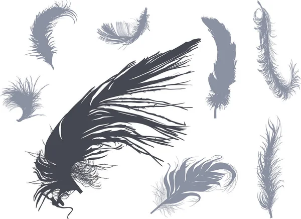 Οκτώ χνουδωτά γκρίζα φτερά απομονωμένα σε λευκό — Διανυσματικό Αρχείο