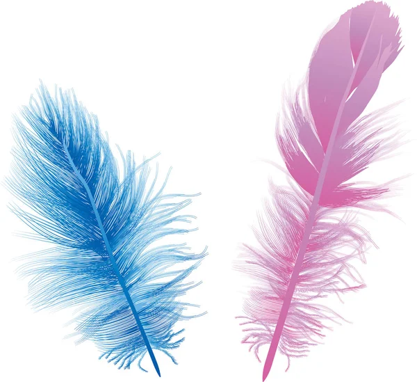 Dos plumas azules y rosadas aisladas en blanco — Vector de stock