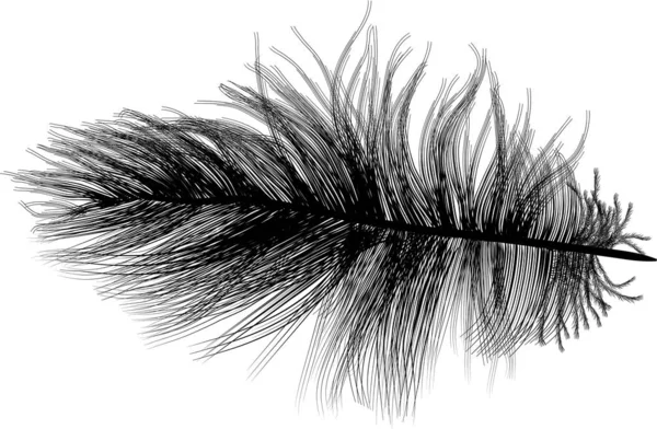 白い羽の黒い小さなシルエット — ストックベクタ