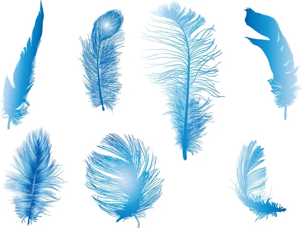 Siete plumas azules suaves aisladas sobre blanco — Vector de stock