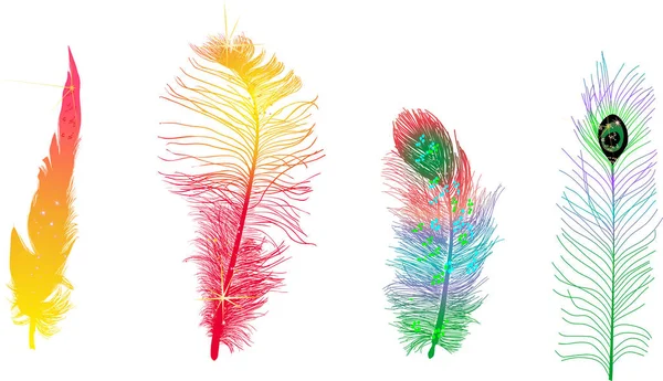 Quatre plumes colorées isolées sur blanc — Image vectorielle