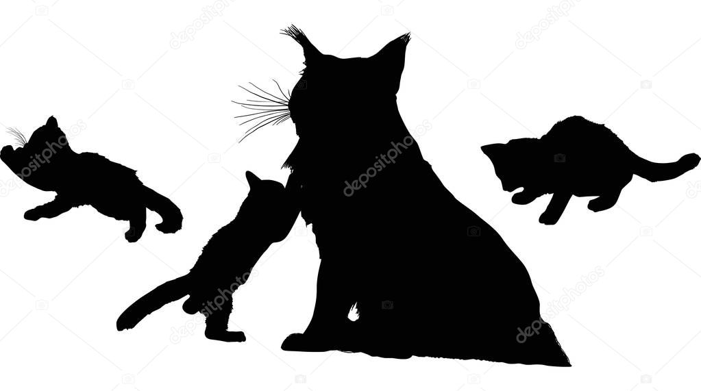 cat and three kittens isolated black silhouettes