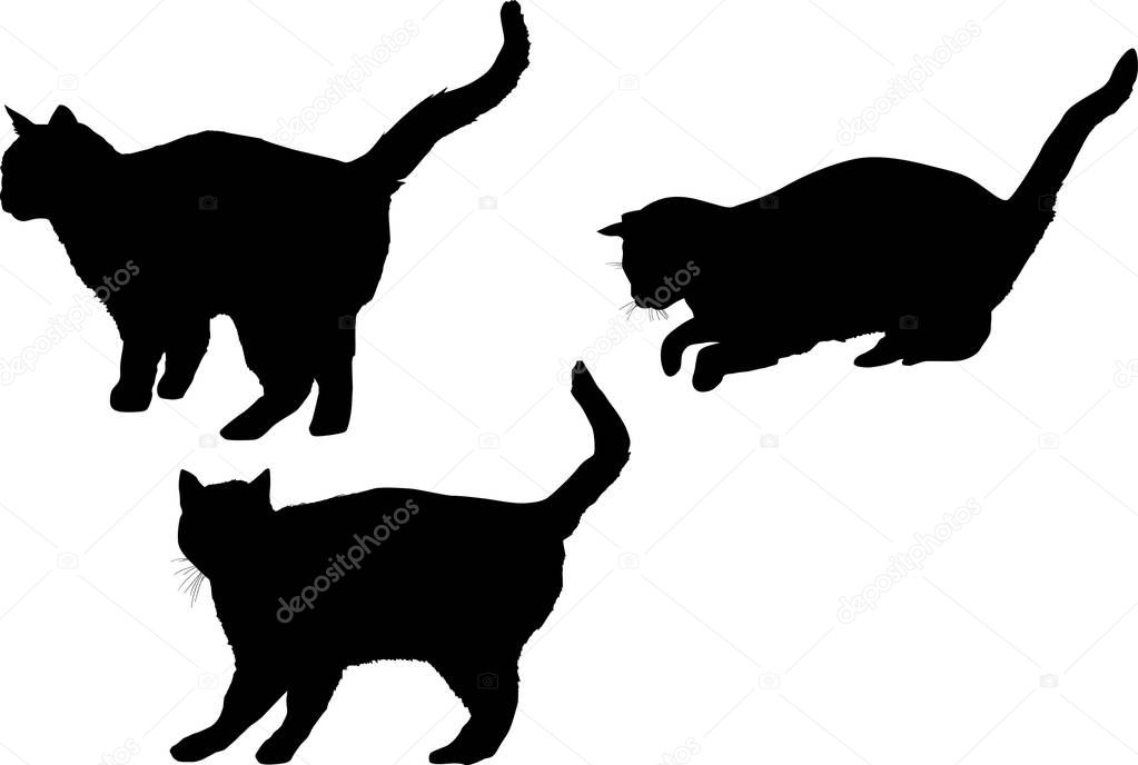 three black isolated cat silhouettes collection