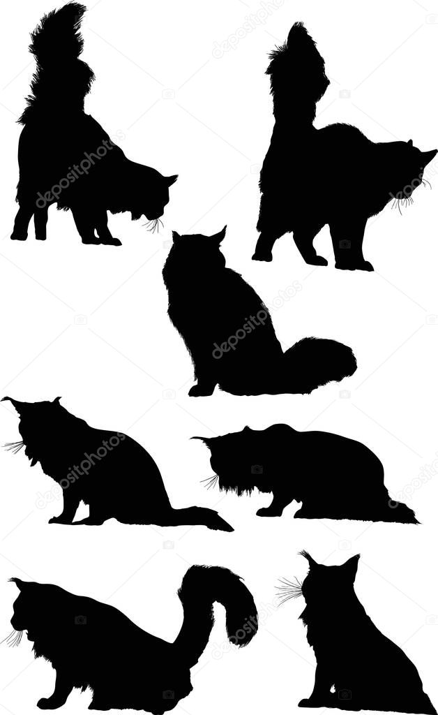 seven isolated black cat silhouettes collection