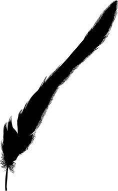 siyah kıvrımlı dar uzun yalıtılmış tüy