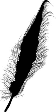 Küçük tüy düz siyah tek siluet