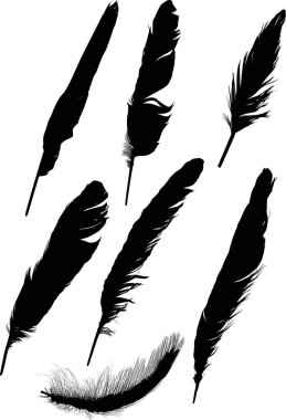 Beyaz üzerine siyah tüylerden yedi siluet