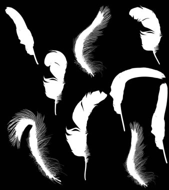 Dokuz beyaz bukleli tüy siluetinden oluşan grup