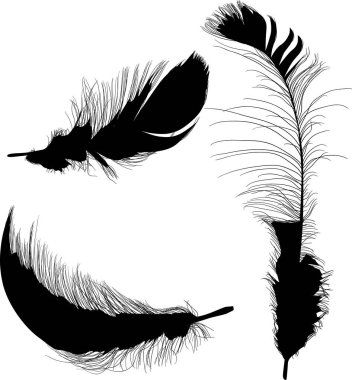 üç tüylü siyah grup siluetleri