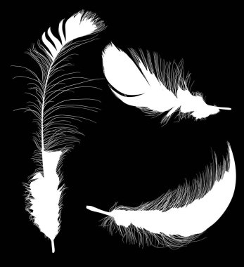 Üç tüylü siluetten oluşan beyaz grup