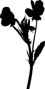 Çiçekli, siyah, ıssız bir bahçe.