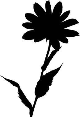 Bahçe siyah büyük çiçek silueti beyaz üzerine