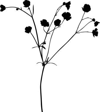 Beyaz üzerine siyah siyah bir düğün çiçeği