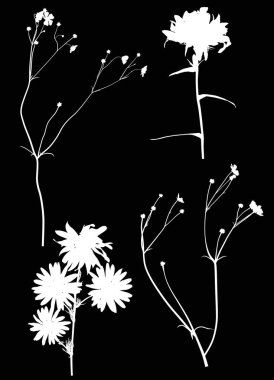 Siyah üzerine dört yabani çiçek silueti