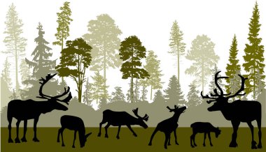 Yeşil orman resimlerinde altı geyik