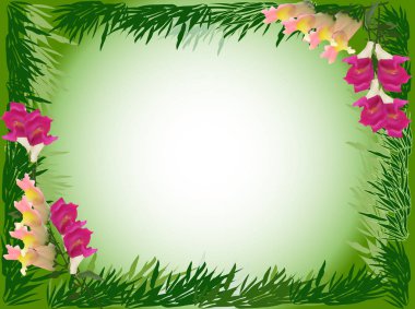 Yeşil bambu çerçeveli pembe ve sarı orchd çiçekleri