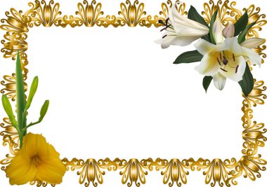 Beyaz üzerine altın çerçeveli zambak çiçekleri grubu