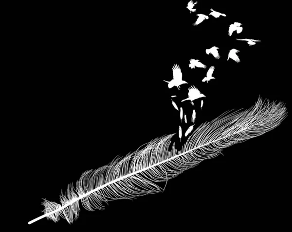 Cuervos volando de larga silueta de plumas rectas en negro — Vector de stock