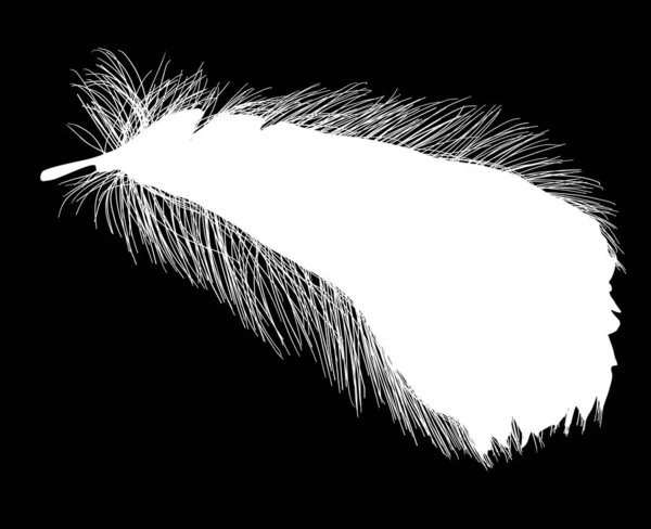 White wide short feather on black — Vector de stock