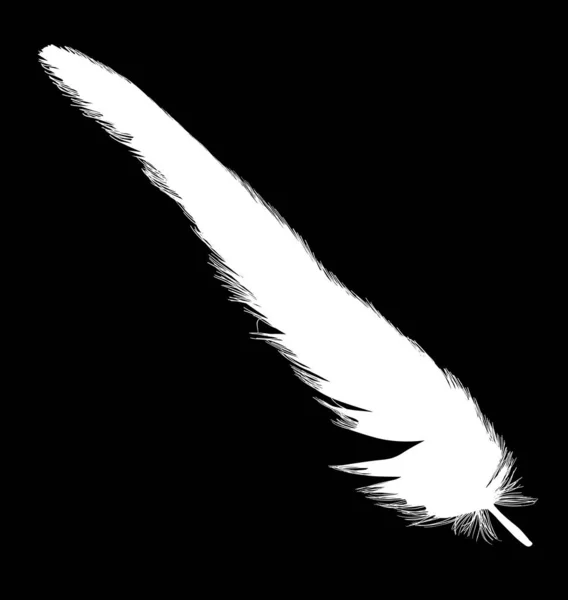 白色的、笔直的、孤立的羽毛在黑色上 — 图库矢量图片