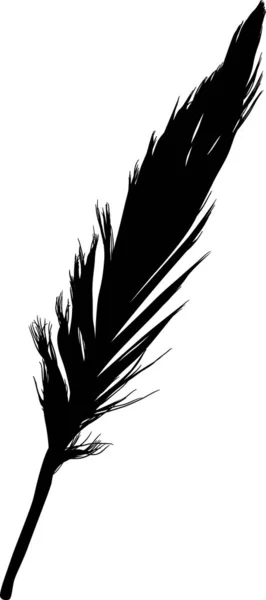 黑色小羽毛单幅轮廓 — 图库矢量图片