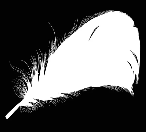 Blanc moyen plume silhouette sur noir — Image vectorielle