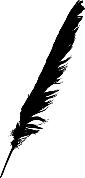Pluma recta aislada negra del ala — Vector de stock