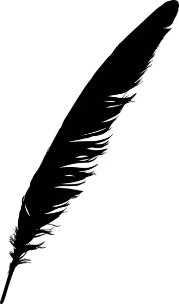 Isolated single black feather from wing — Stock Vector