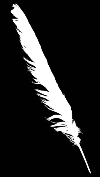 Blanc isolé simple plume droite de l'aile — Image vectorielle