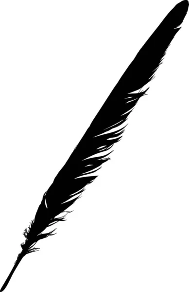 Isolated single black straight feather from wing — Stock Vector