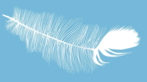 Ampia piuma bianca corta con piuma blu — Vettoriale Stock
