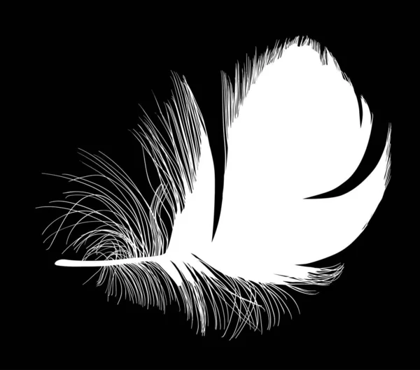 geniş izole edilmiş kısa beyaz tüy