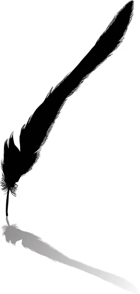 Noir courbé étroite longue plume avec reflets — Image vectorielle